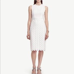 NWT Ann Taylor White Geo Lace Dress - Size 8